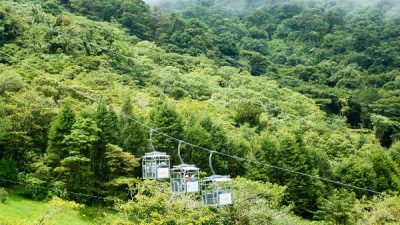 Sky Walk Tram & Trek Tour